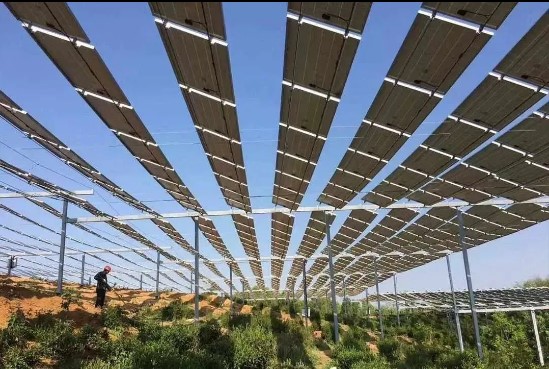 1743401255.jpg 1743401255.jpg